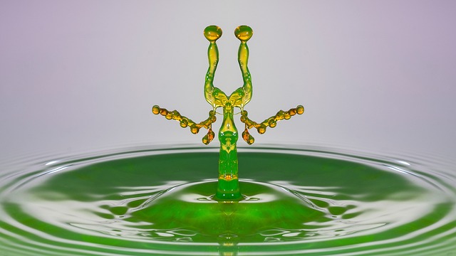 Par Quoi Remplacer La Gomme De Xanthane