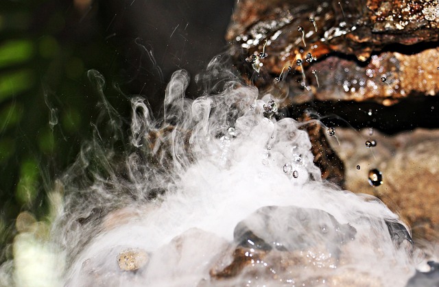 Comment Cuire Un Brochet Au Court Bouillon ? » Réponse En 2025