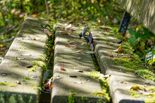 Que Faire à La Ciotat Quand Il Pleut