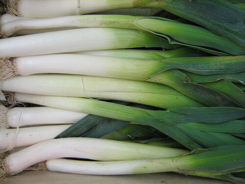 Par Quoi Remplacer Les Poireaux
