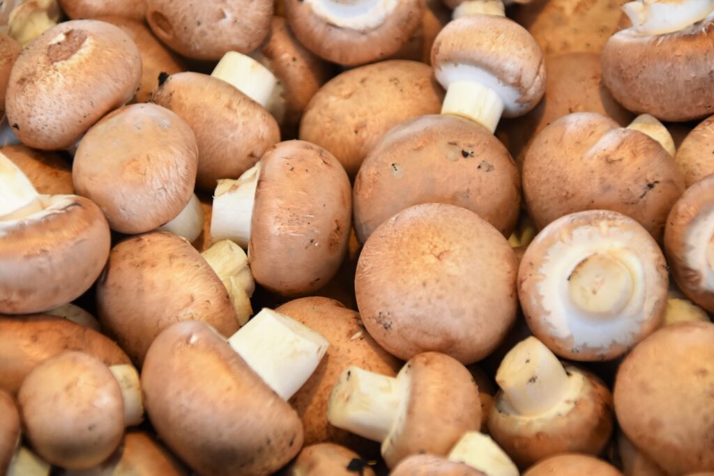 Par Quoi Remplacer Des Champignons