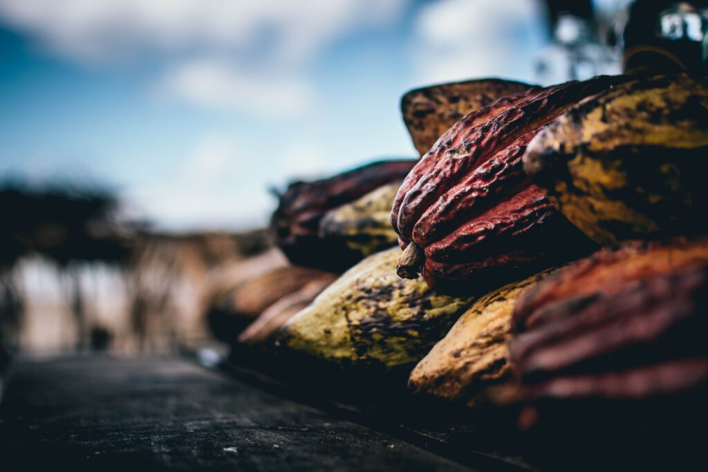 Par Quoi Remplacer Le Beurre De Cacao
