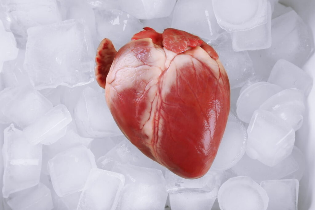 Combien de temps dure une opération à cœur ouvert