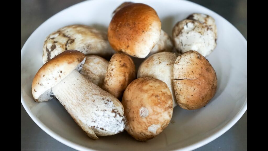 Comment nettoyer des cepes