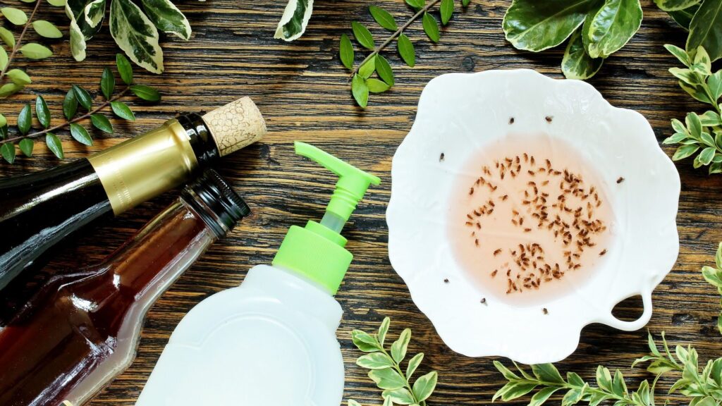 Comment se débarrasser des moucherons