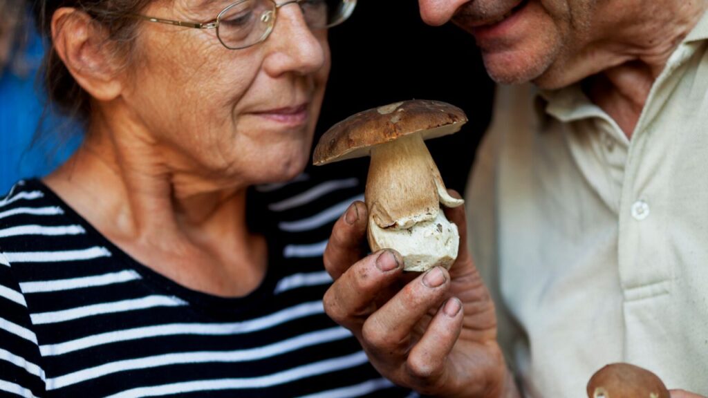 Par Quoi Remplacer Les Champignons