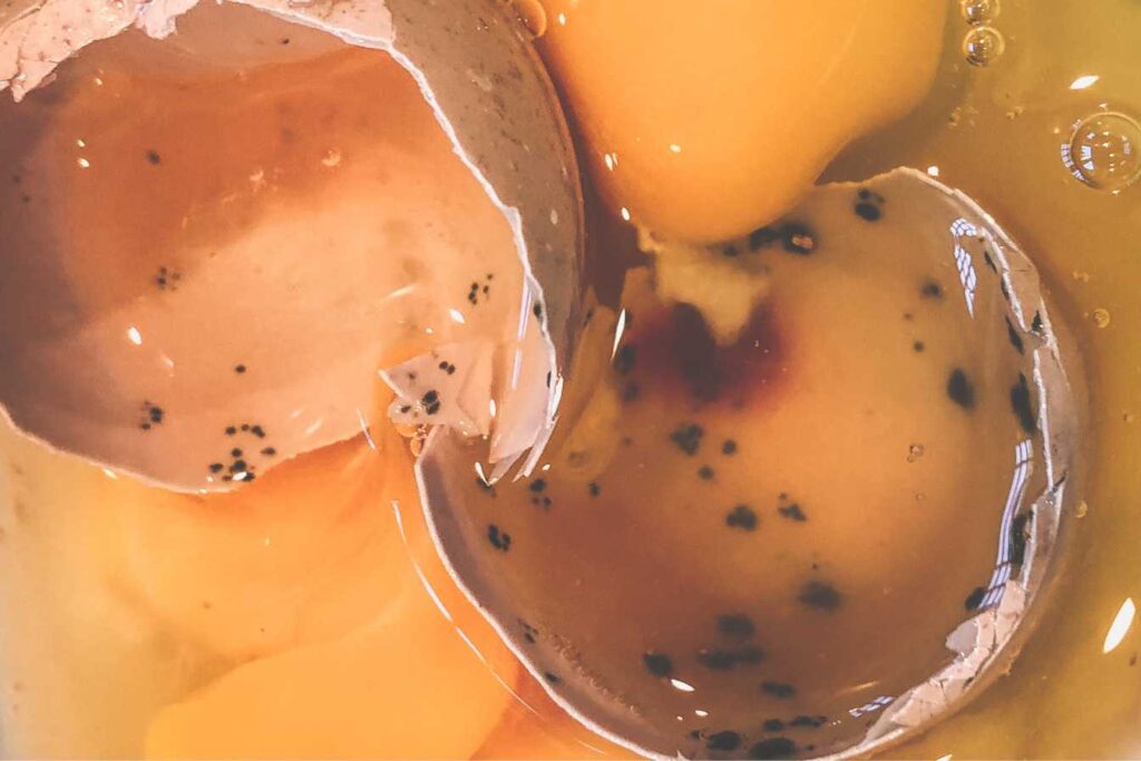 Pourquoi on rote l’œuf pourri ?