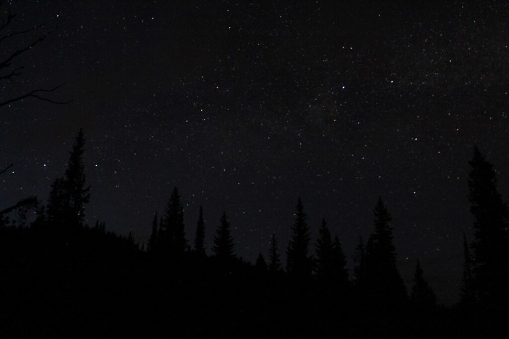 Ail noir maison : préparez-le sans cuiseur à riz